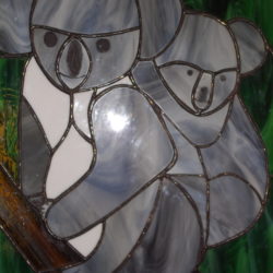 famille-koala
