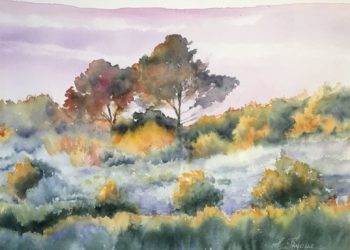 Paysages