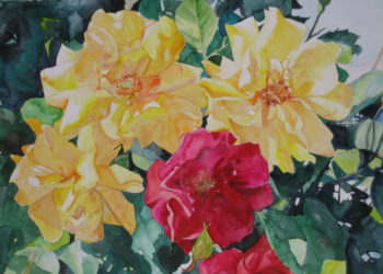 roses