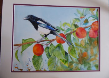 animaux
