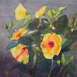 4-Hybiscus-Jaunes-50x-50-