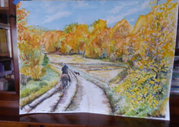 nénuphars et paysages